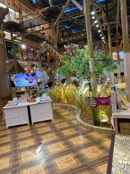 -卡通尼·Safari非洲探索乐园·生日会(金桥国际商业广场店)