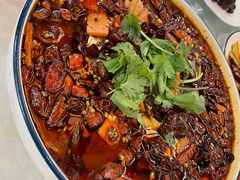 -陈麻婆豆腐(旗舰店)