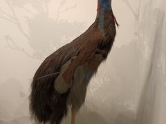 -四川大学博物馆