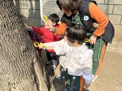 -贝美蓝天幼儿园(河东直沽园)