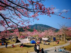 -风云岭森林公园