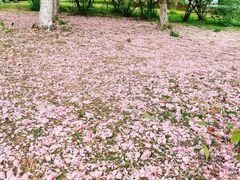 -白塘生态植物园