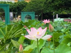 -龙环葡韵住宅式博物馆