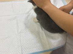 -惠康宠物医院(华能路店)