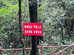 -千岛湖石林