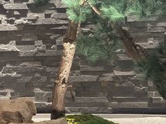 -新荣记(建国门外大街店)