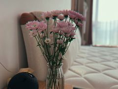 -新天地活力PARK