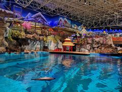 -海合安青岛极地海洋公园