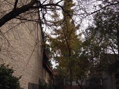 iphone_upload_pic-成都老君山