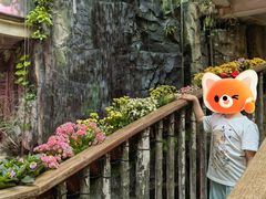 -正佳雨林生态植物园