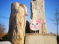 -呀路古热带植物园