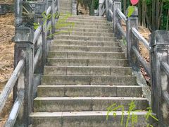 -阳台山森林公园