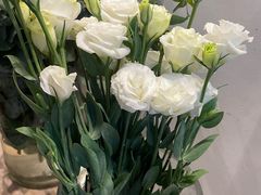 -北边的花店(泛悦城市广场店)