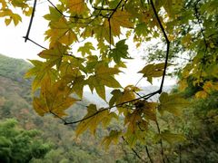 -Banana本娜娜·按摩养生SPA(上海湾店)