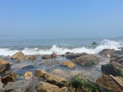 -海合安青岛极地海洋公园