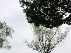 -迪士尼小镇