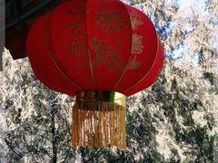 -红螺寺