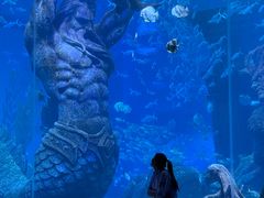 -哈尔滨波塞冬海底世界