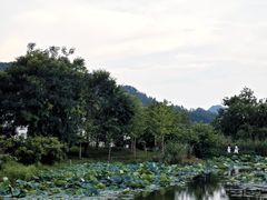 -环秀楼(黄山呈坎店)