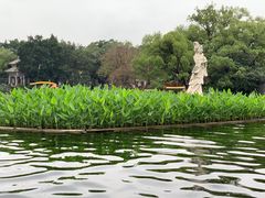 -荔湾湖公园