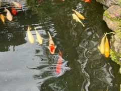 -聚福宝合苑食府(南头镇店)