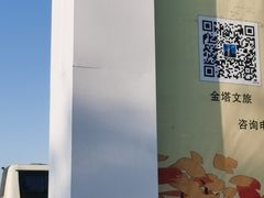 -金塔沙漠胡杨林景区