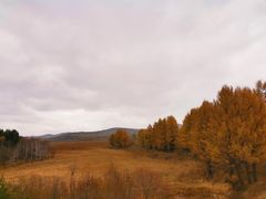 -塞罕坝国家级自然保护区