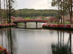 -苏州上方山国家森林公园