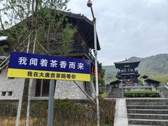 -大唐贡茶院