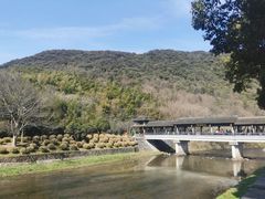 -兰亭风景区