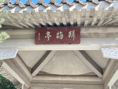 -南京古林公园