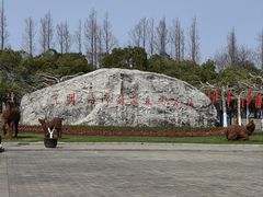 -上海海湾国家森林公园