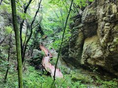 -牛背梁国家森林公园