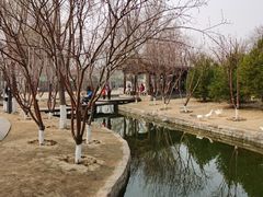-三里河公园