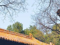 -北京国子监胡同