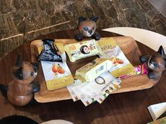 -宠爱国际动物医院·消化内科·心肾内科·ISFM猫友好(望京店)