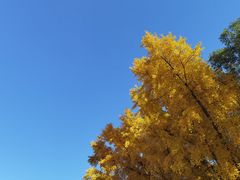 -北京石刻艺术博物馆(五塔寺)