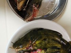 -果蔬好生活超市(双井店)