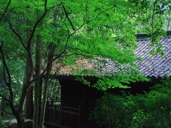 -黄公望隐居地