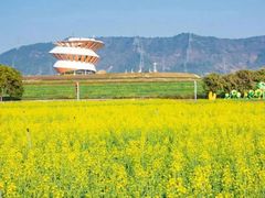 -光明小镇欢乐田园