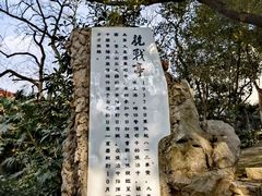 -叶家花园