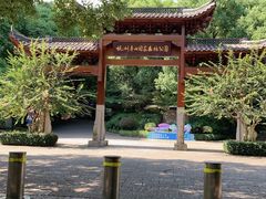 -杭州半山国家森林公园