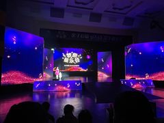 -陕西省小天鹅艺术团