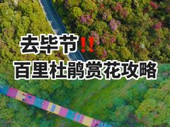 -贵州百里杜鹃风景名胜区