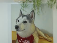 -Husky Go! 哈士奇体验馆·宠物咖啡厅狗咖