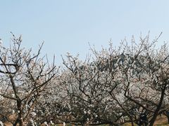 -原乡小镇度假乐园