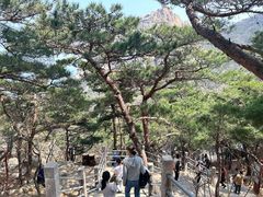 -崂山仰口游览区