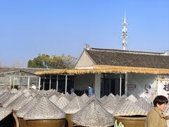 -苏州市吴中区光福窑上花果蜜饯厂