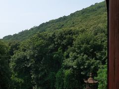 -龙寺生态园