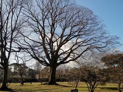-京都御所